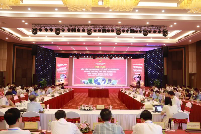Xúc tiến thương mại, kết nối giao thương tại tỉnh Tuyên Quang