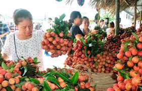 Hội chợ Quảng bá thiêu thụ Nông đặc sản vùng miền và Sản phẩm OCOP tại Hà Nội năm 2020